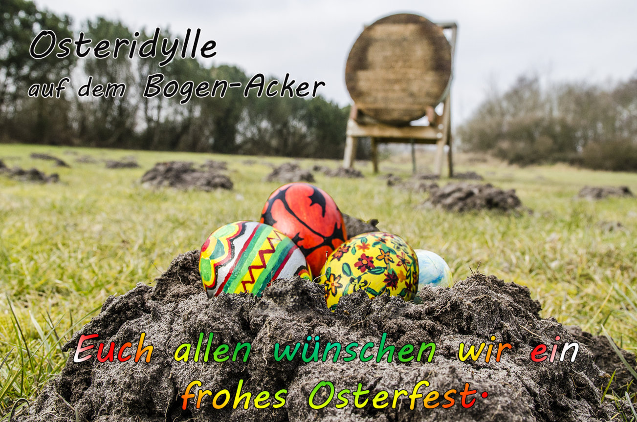 Frohe Ostern 2016