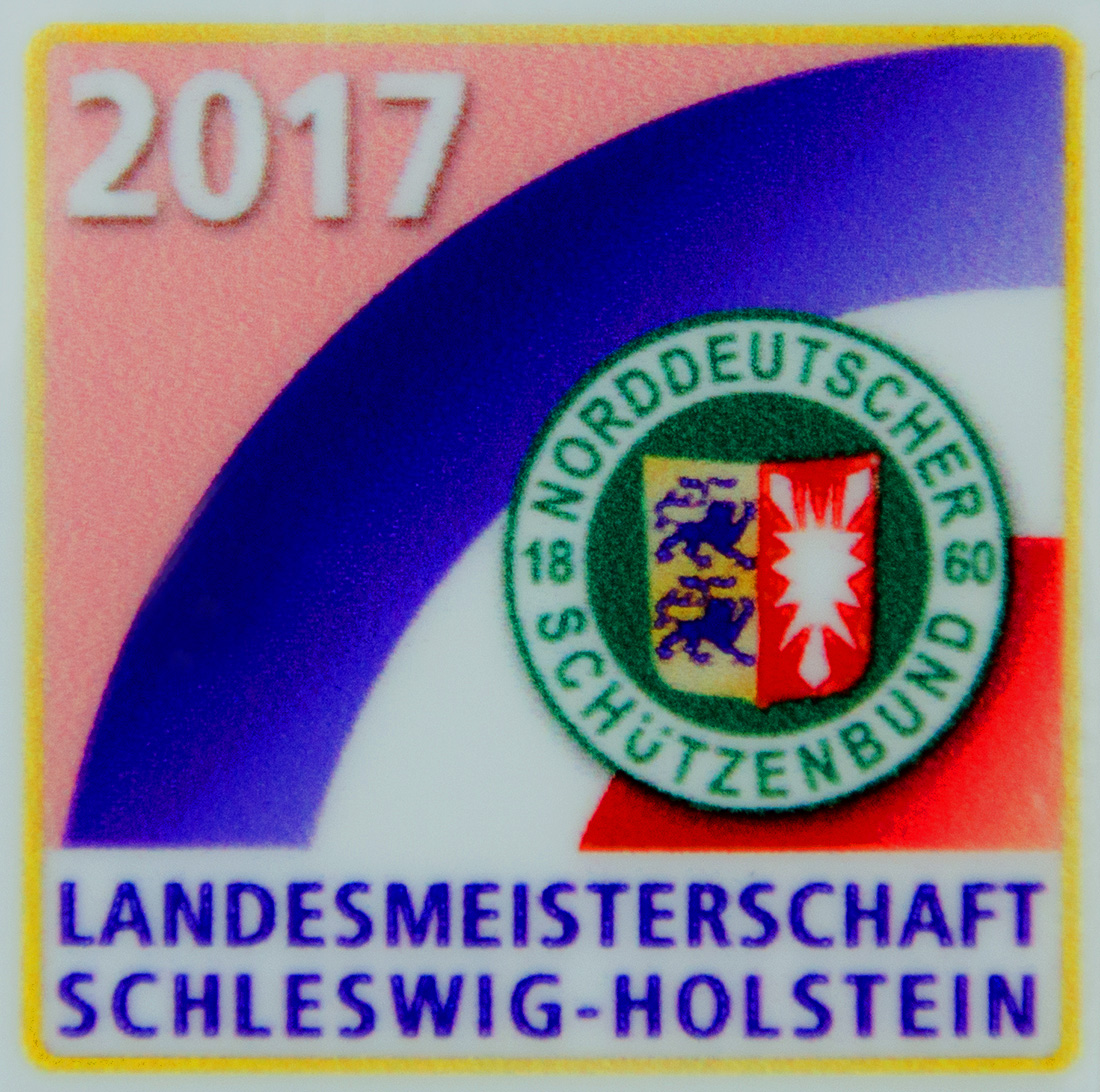 Logo LM 2017