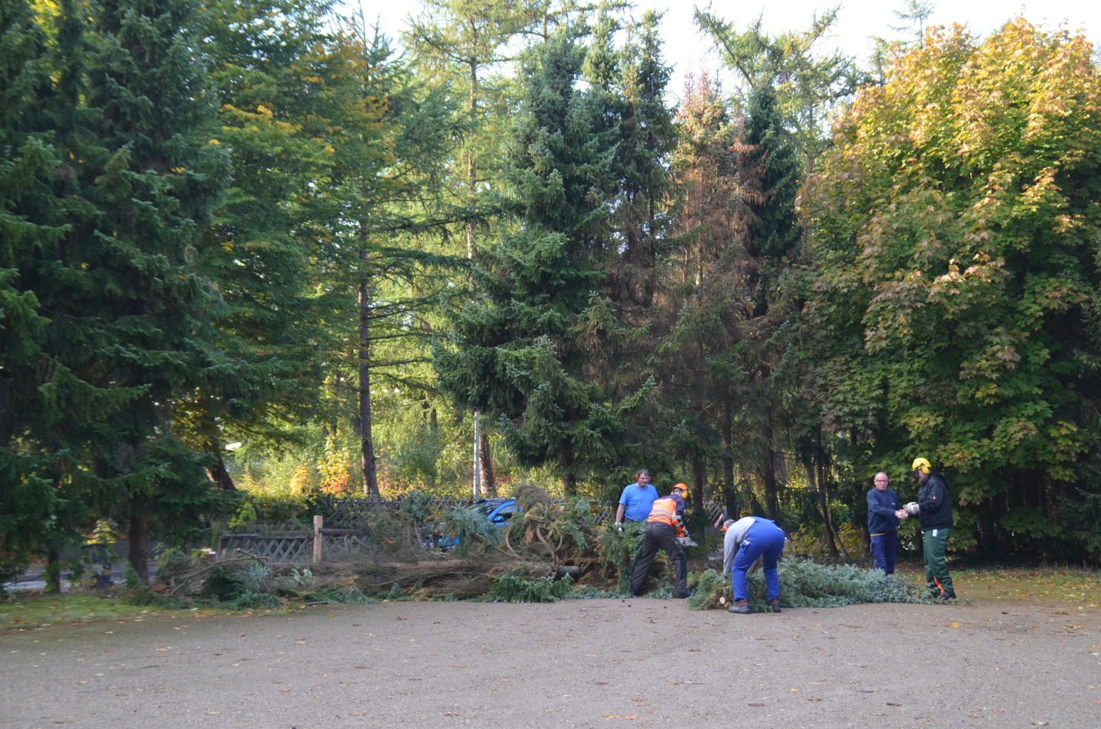 der erste Baum ist gefällt