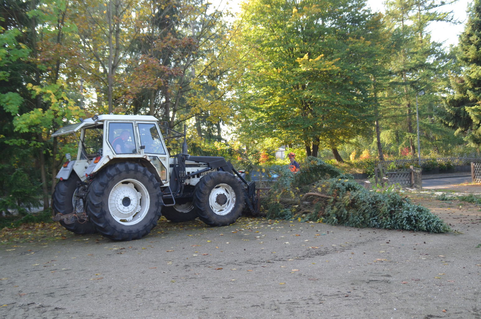 mit dem Trecker bringt Bernd den Baum ...