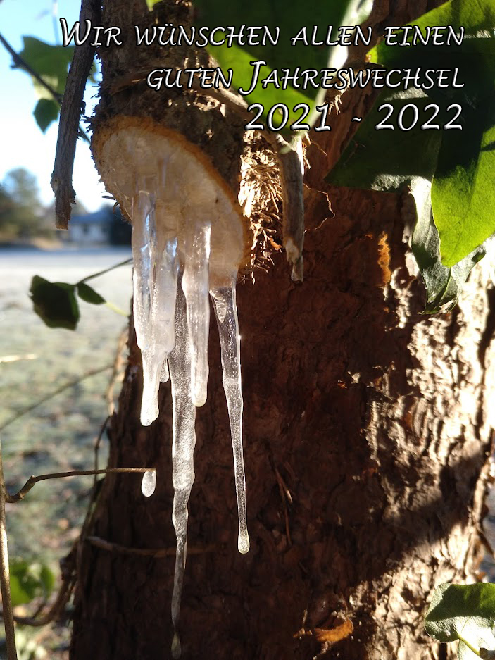 Neujahr 2022